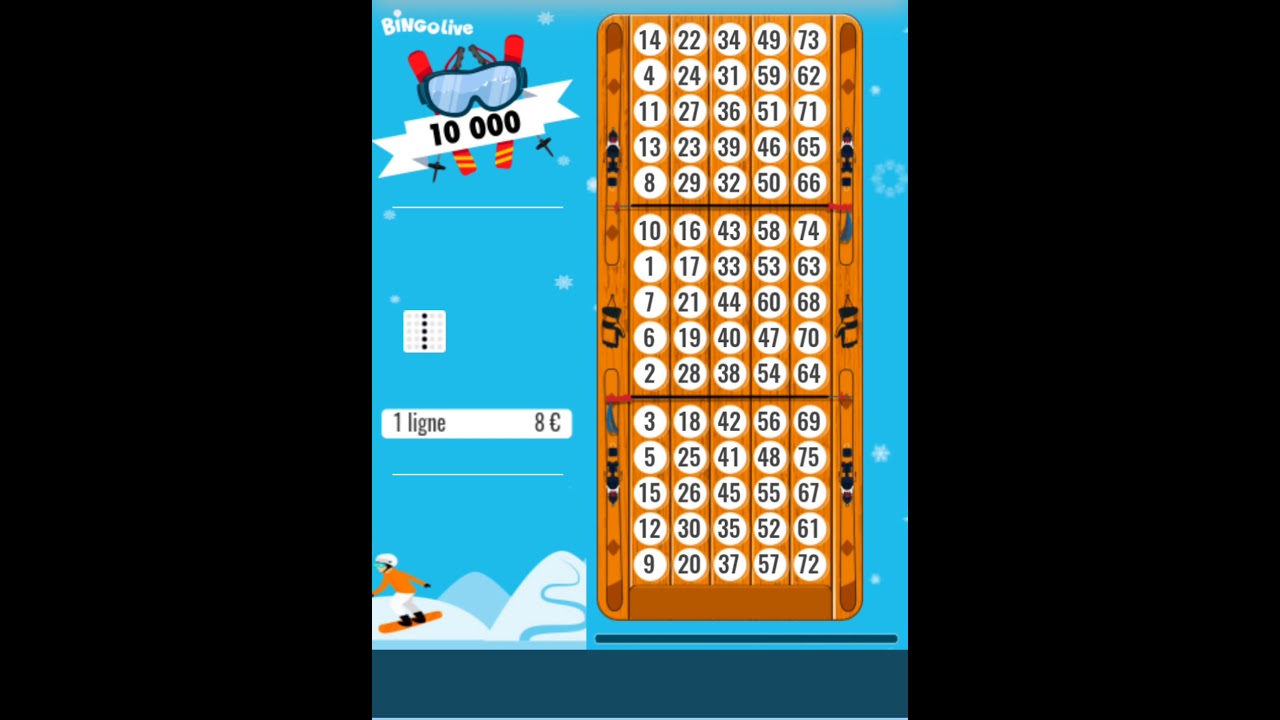 Bingo Live Vertical 😂