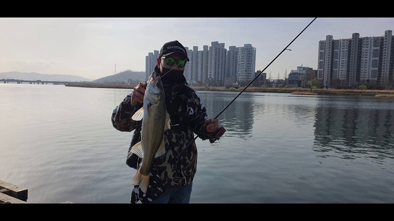 рыбалка по сиббасу (открытие сезона),sea ​​bass fishing, 농어 낚시