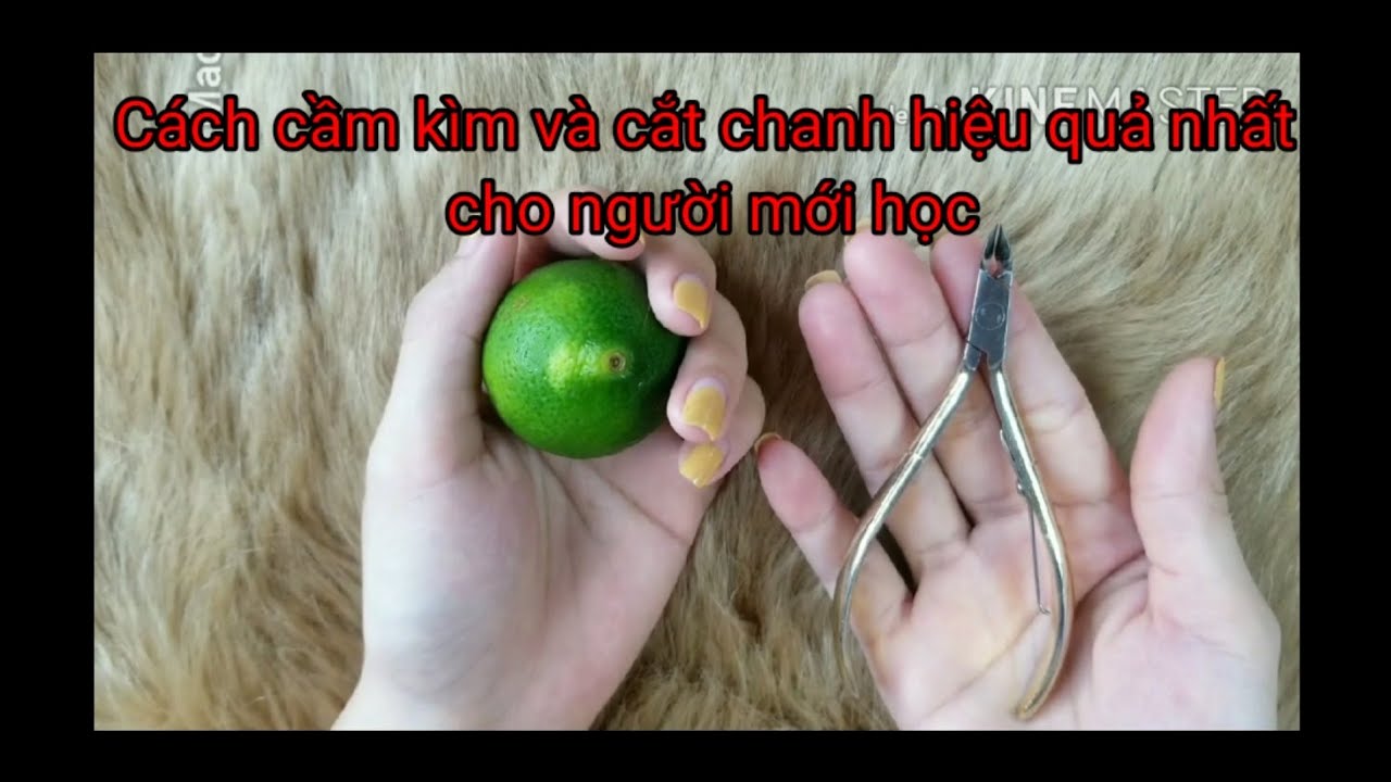 *Nail* Bài 1 : cách cầm kìm và cắt chanh hiệu quả nhất cho người mới