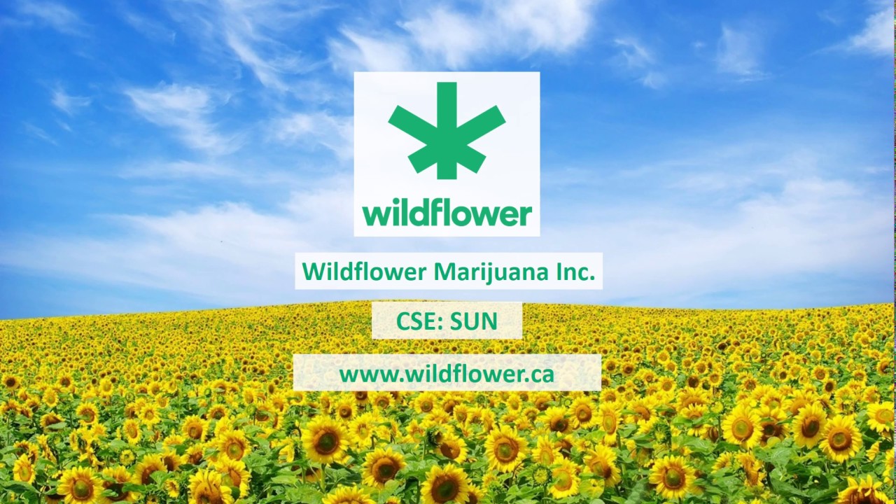 Wildflower Cannabis Business Presentation