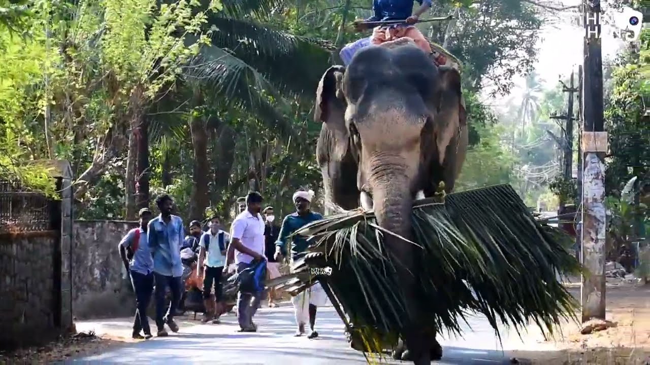 Utoly anandan