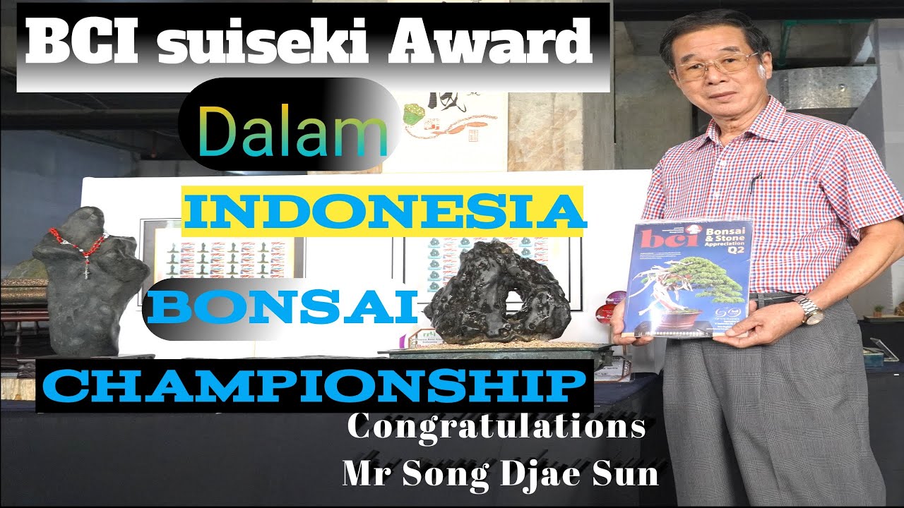 BCI Suiseki Award dalam IBC 2022 (With English explanation)