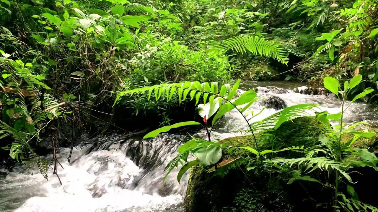 Relaxing River Sound with Healing White Noise for Sleep & Emotional Balance