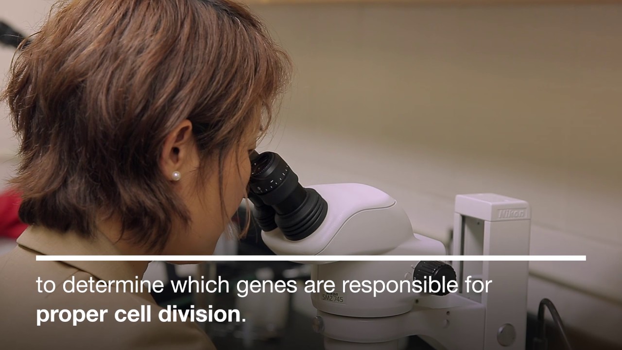 OU Research | Cells Misbehaving
