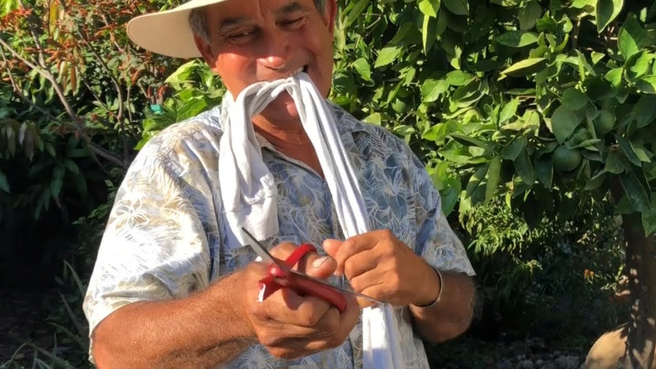 The Right Cut—of a Branch - Vargas Landscaping Presents