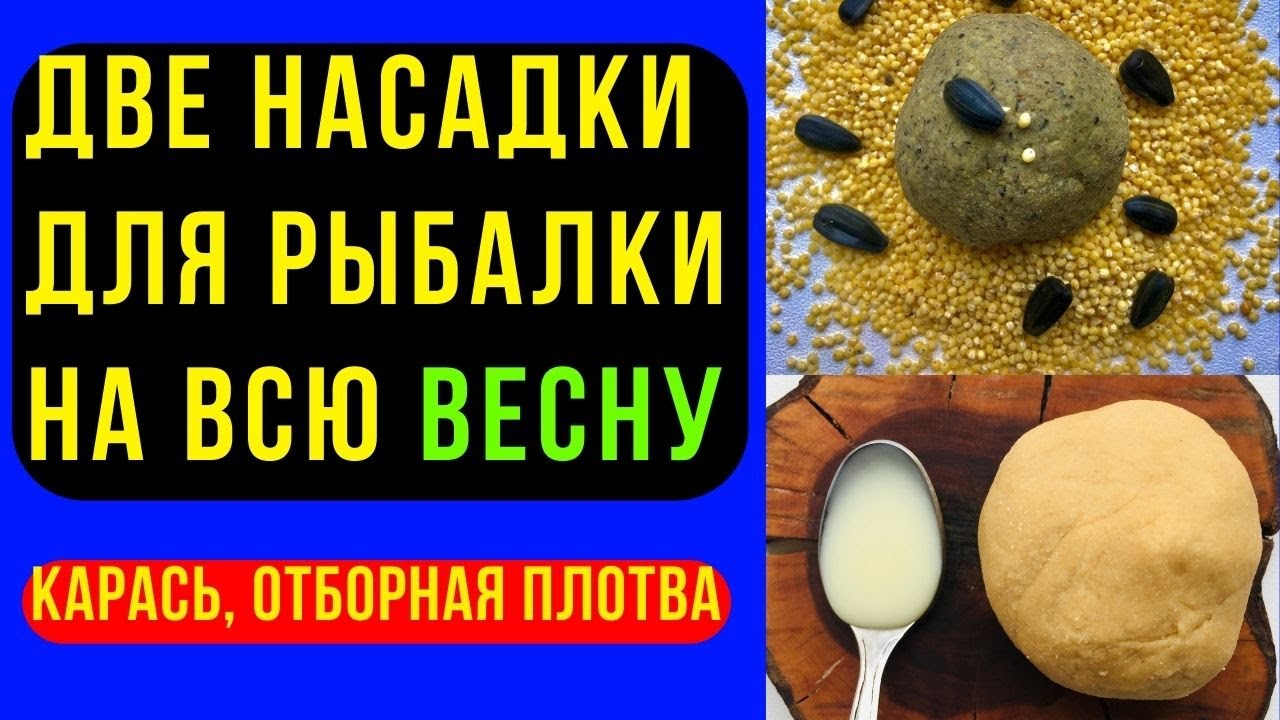 Две насадки для рыбалки на всю ВЕСНУ. Карась и отборная ПЛОТВА.