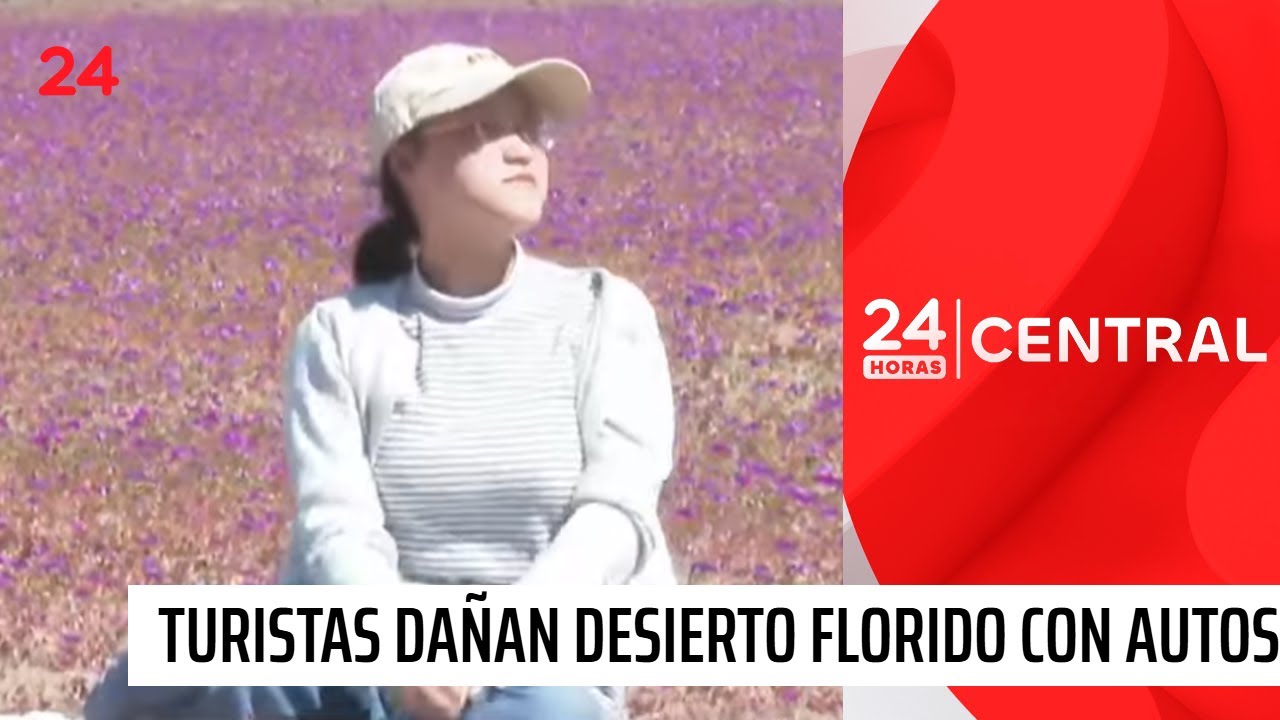 Turistas dañan Desierto Florido con autos: hicieron picnic y pasearon a mascotas | 24 Horas TVN