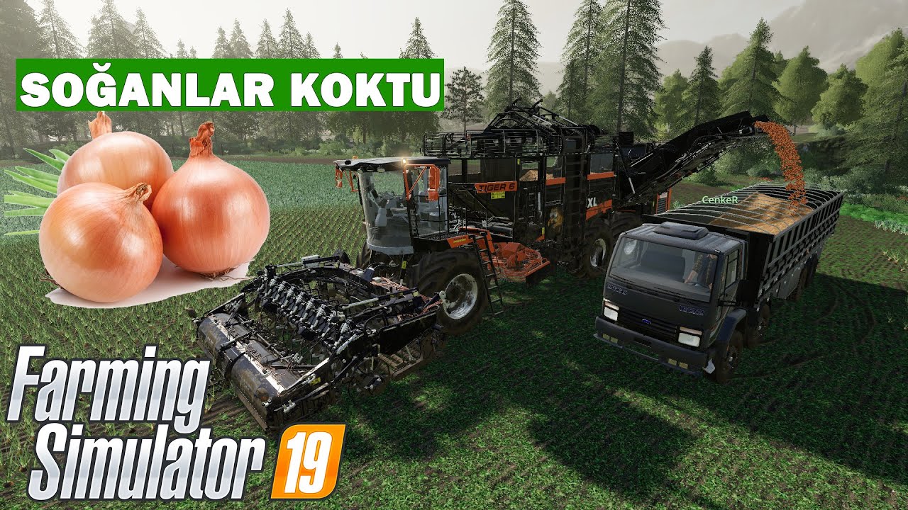 SOĞAN EKTİK, BİÇTİK, SATTIK | NE KADAR PARA GETİRDİ? | FARMING SIMULATOR 2019 MP BÖLÜM 06
