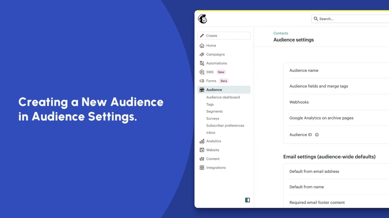 How to Create a New Audience in Mailchimp? | Mailchimp Tutorials | Trainn