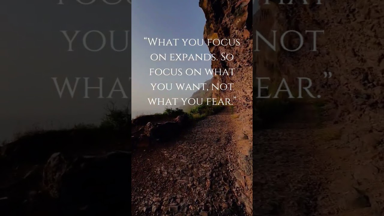 Stop chasing. Start aligning. #sleepwithnature #gratitude #abundancemindset #lawofattraction #peace