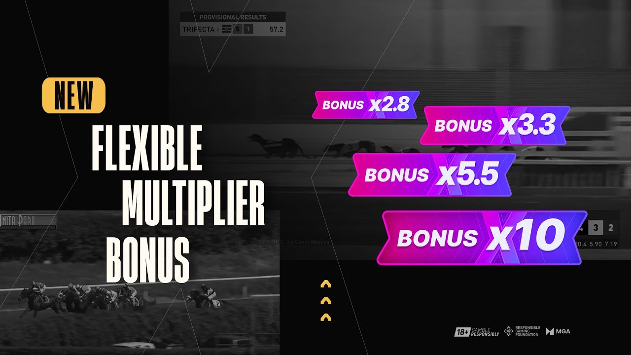 Flexible Multiplier Bonus ⭐️ New feature for Retail | GoldenRace