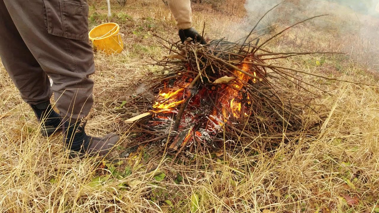 【峠の栗畑で剪定枝の片付け】（野焼き・剪定枝の片付け）