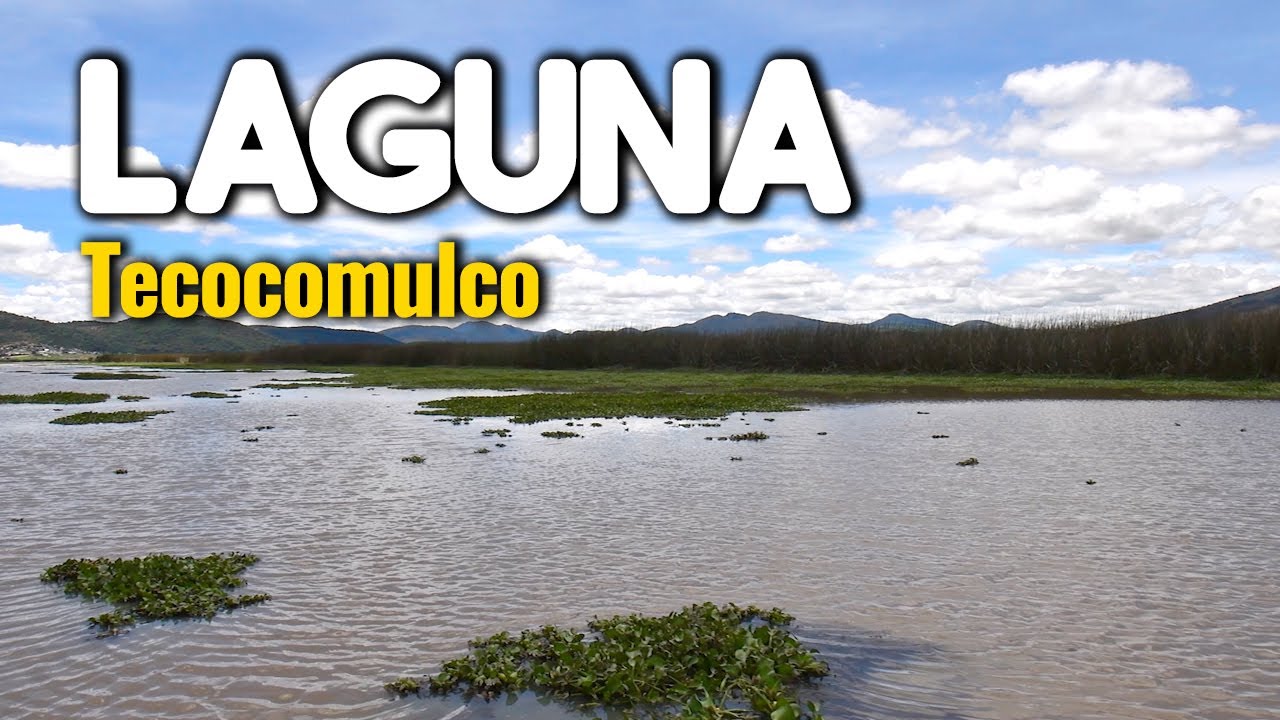 LAGUNA DE TECOCOMULCO / La ULTIMA LAGUNA natural del Valle de México.