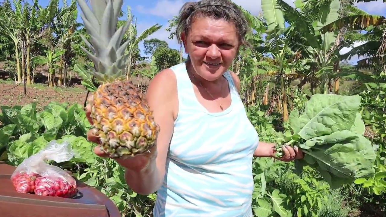 COLHEITA DE TEMPEROS E FRUTAS ORGÂNICAS🥰 VAMOS COZINHAR PEIXE AO MOLHO NO 🔥 A LENHA + DOCE DE LEITE😋