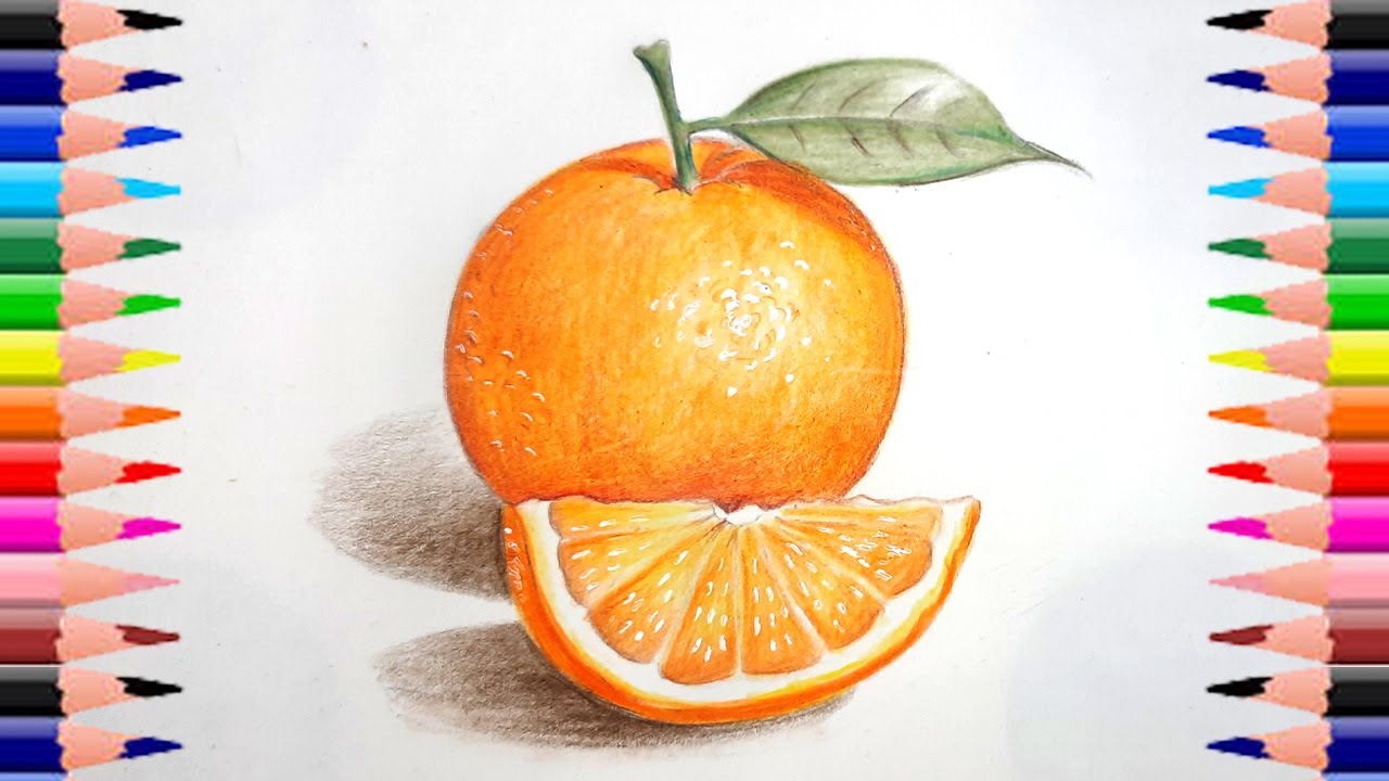 How to Draw a Realistic Orange Easy step by step | Easy Orange Drawing |Fruits Drawing