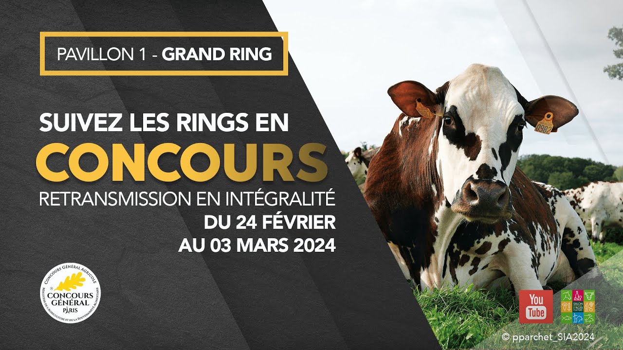 Grand Ring 02/03/2024
