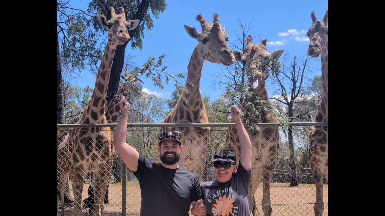 Lap Around Australia - Ep 5: Taronga Western Plains Zoo in Dubbo, NSW! MUST SEE!