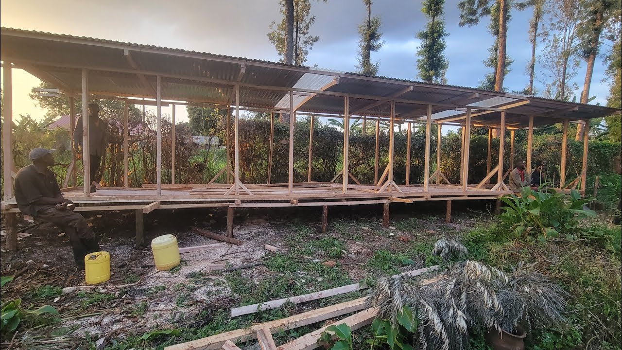 Building the Cheapest 60 Goats House in 4days !! #Goatfarmingkenya #Kenya #Dorbersheepkenya