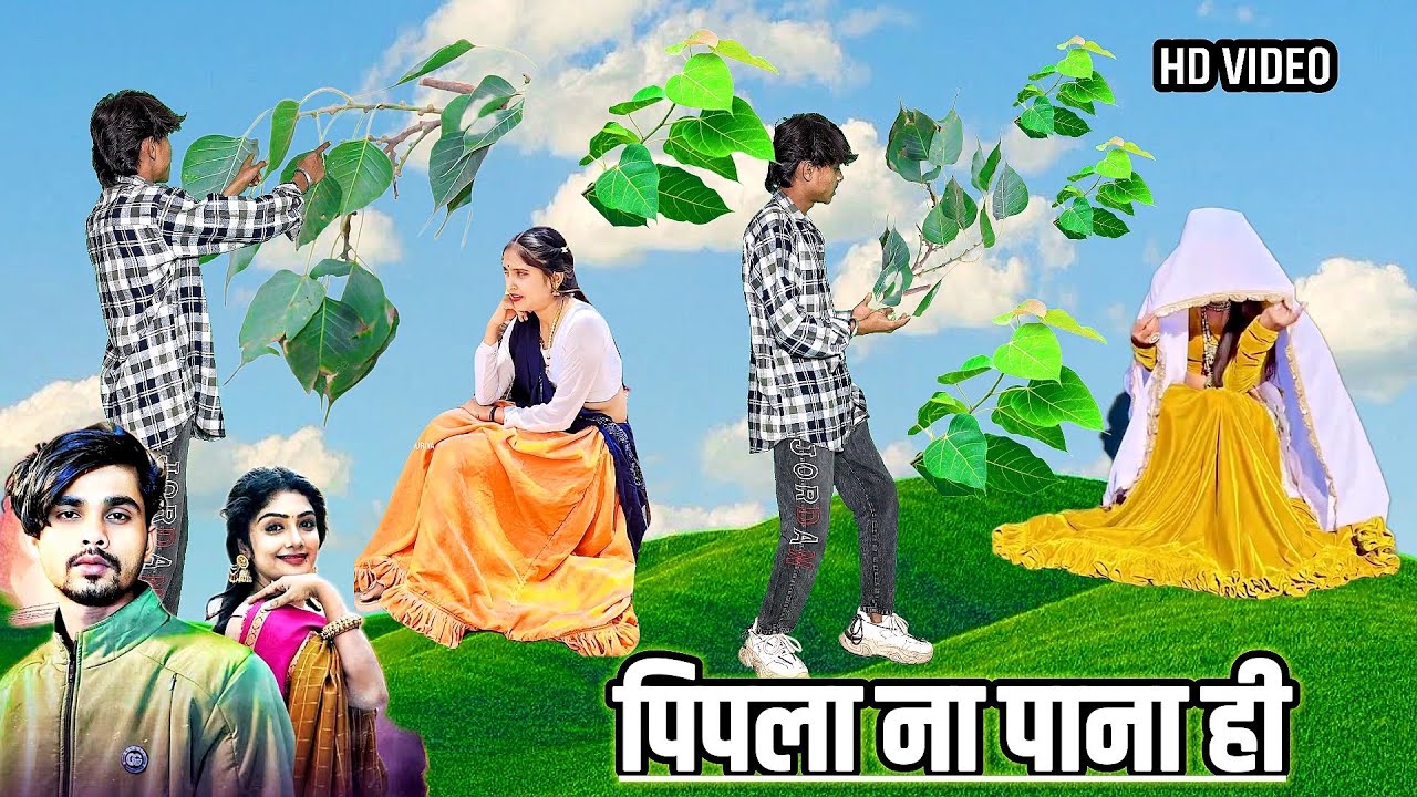 Jeliya bhuriya- pipla na pana- jeliya bhuriya new timli dahud damor dance video 