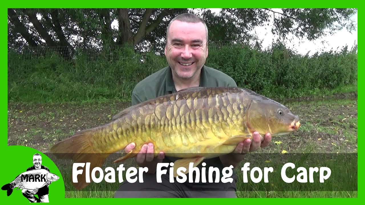 Floater Fishing for Carp - Free Lining