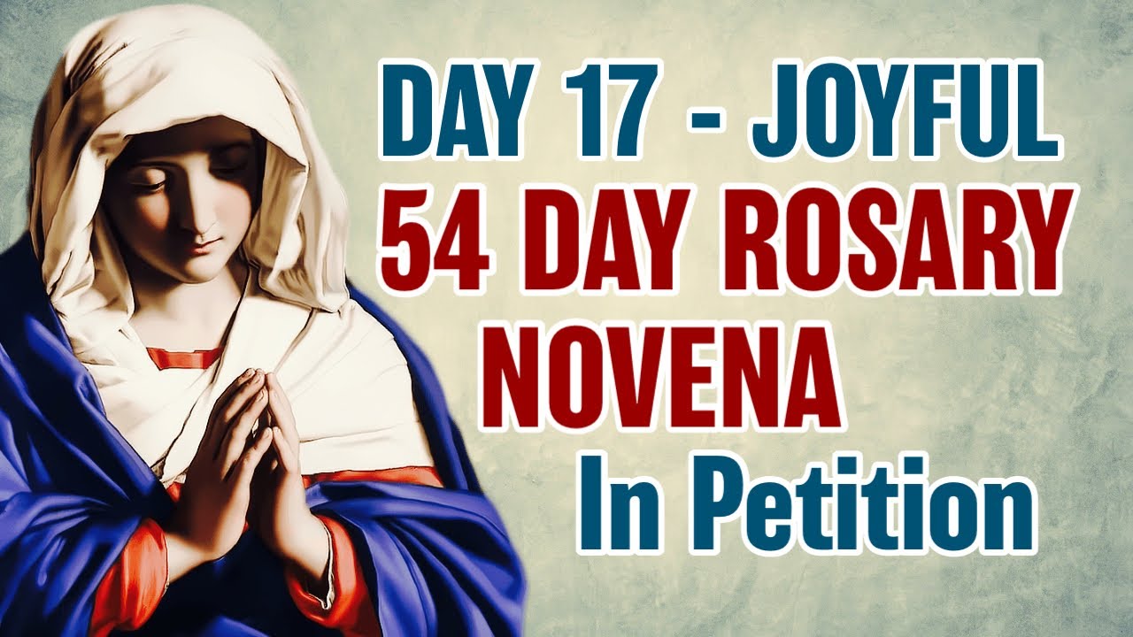 54 Day Rosary Novena Day 17 💙Joyful Mysteries