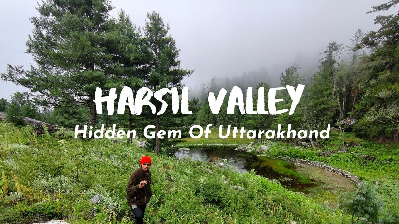 Harsil Uttarakhand in August || Road Trip to Harsil || Harsil Valley