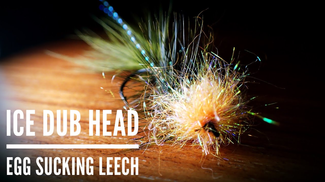 Ice Dub Head Egg Sucking Leech