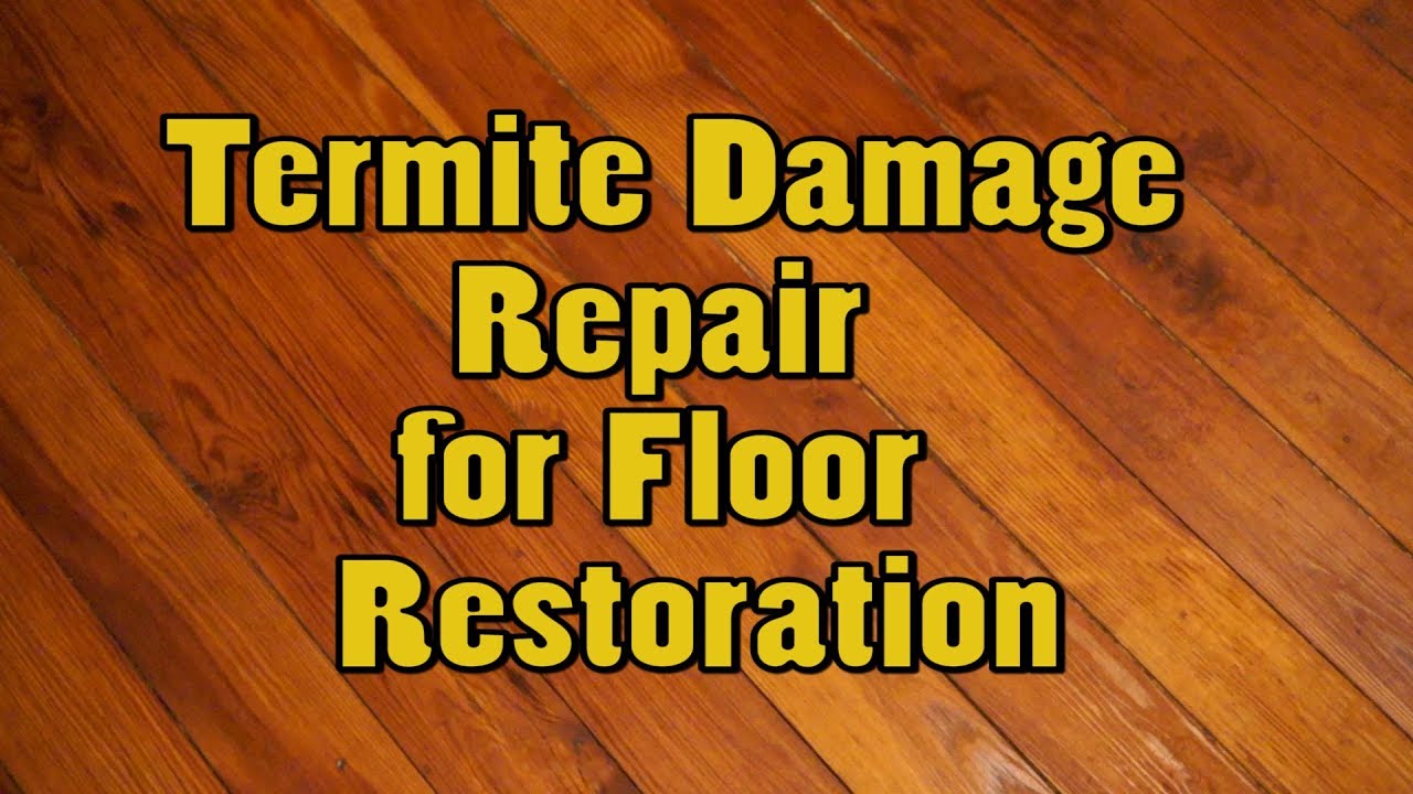 Termite Damage Repair  for Floor  Restoration