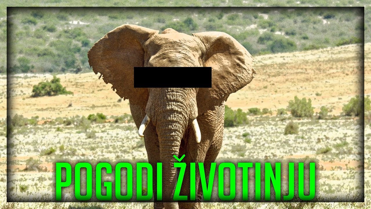 POGODITE ZIVOTINJU ! *Meme Rivju*