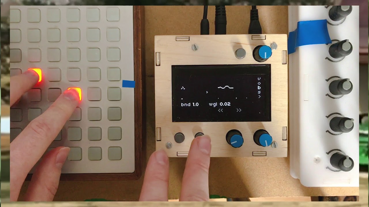 wrms (dual echo loopers for monome norns)