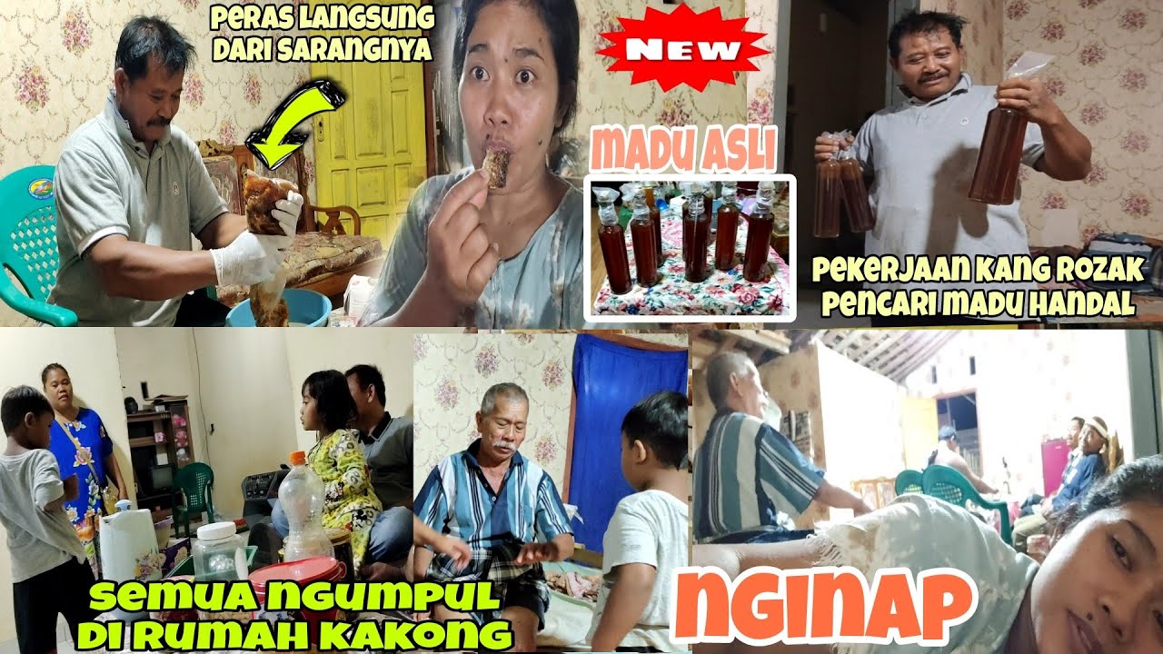 Malam ini nginap di  rumah kakong⁉️kang  Rozak dapat madu langsung dr sarangnya