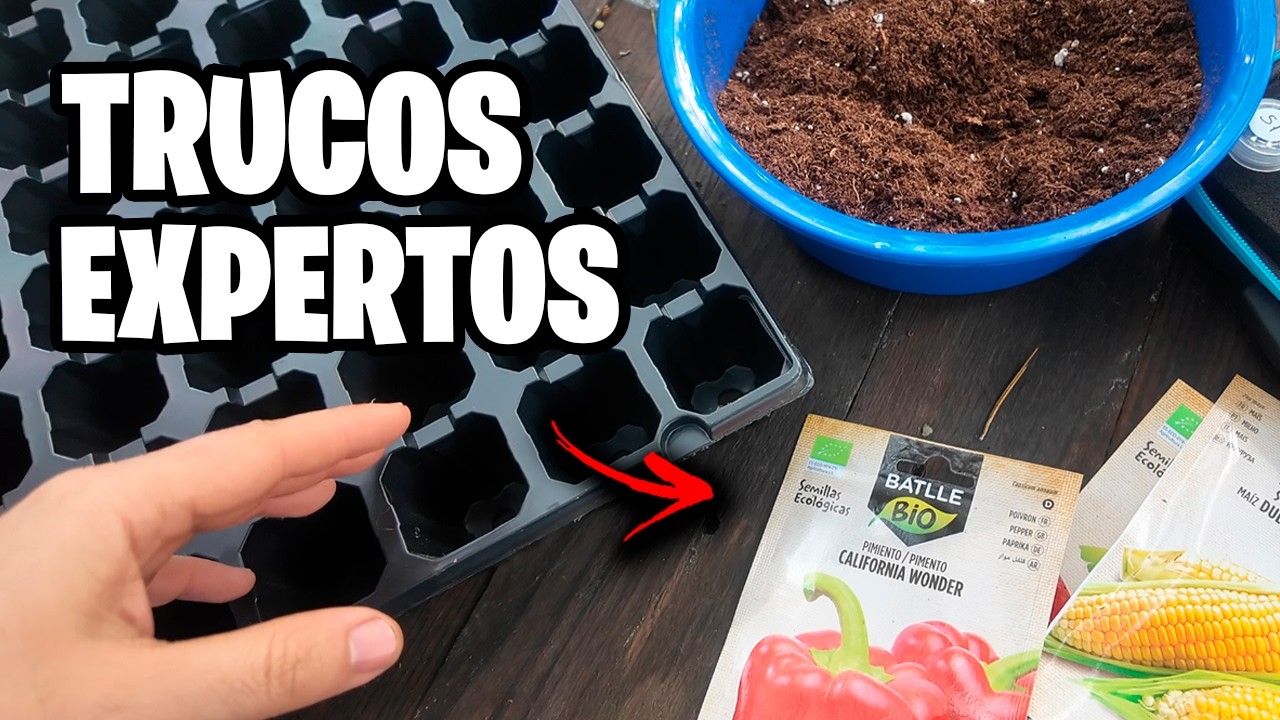 ¡Trucos y Consejos FÁCILES para Semilleros! 🌱 Haz que Crezcan más Rápido