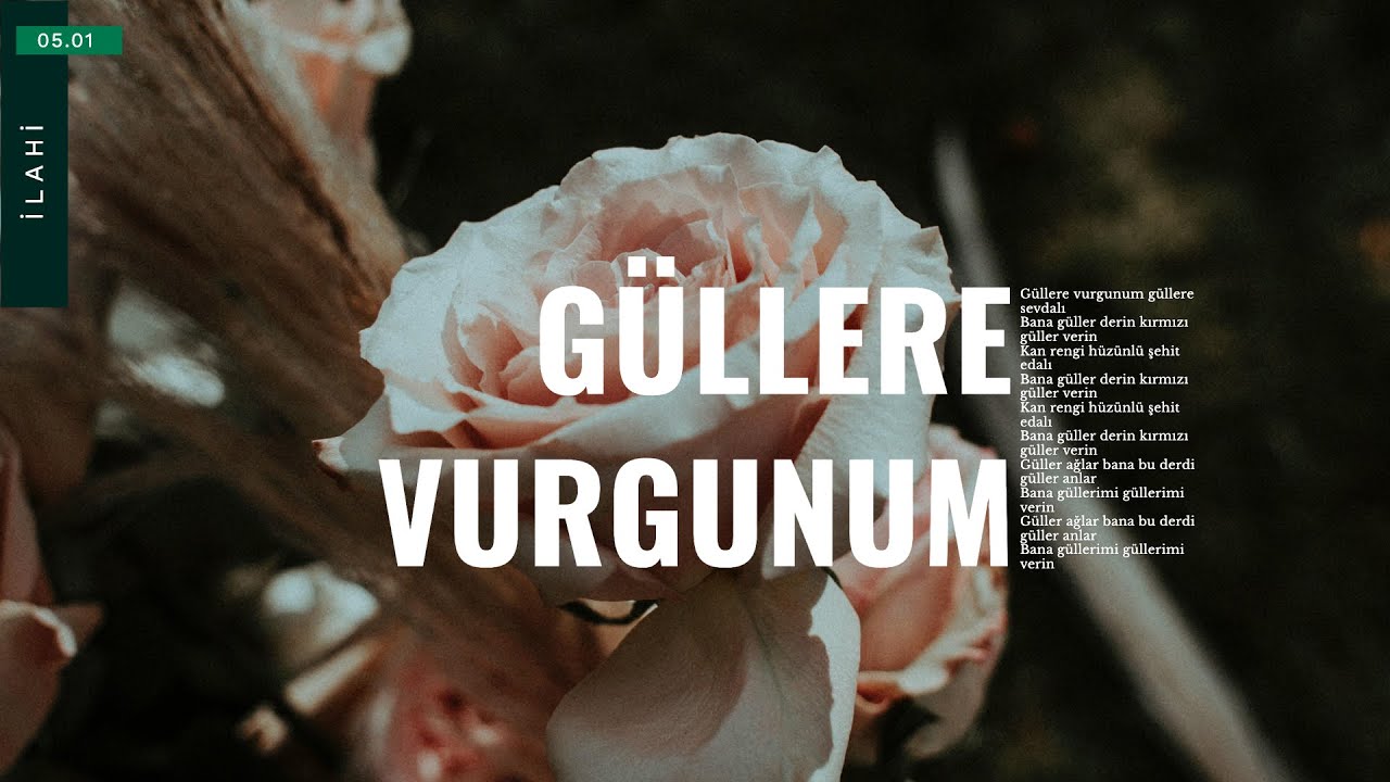 Mehmet Emin Ay / Mustafa Demirci - Güllere Vurgunum