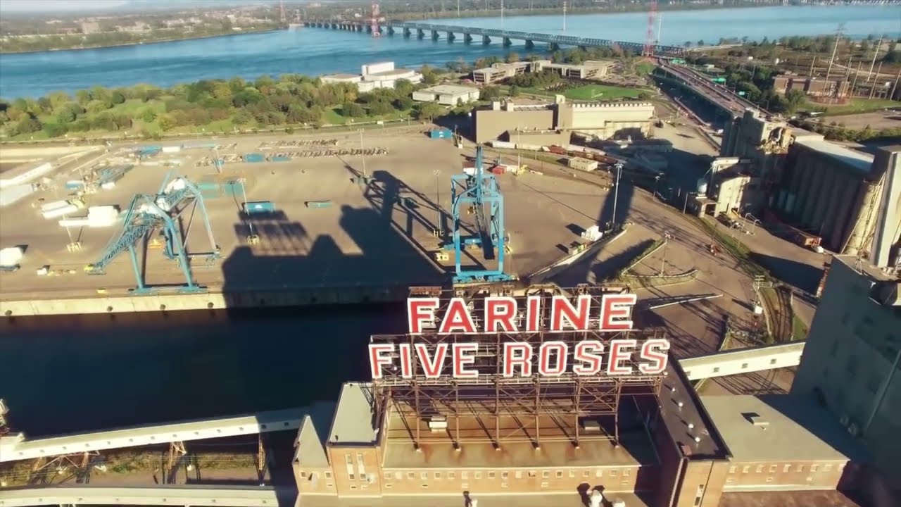 City Life   Drone Video   Free HD Video 1080p