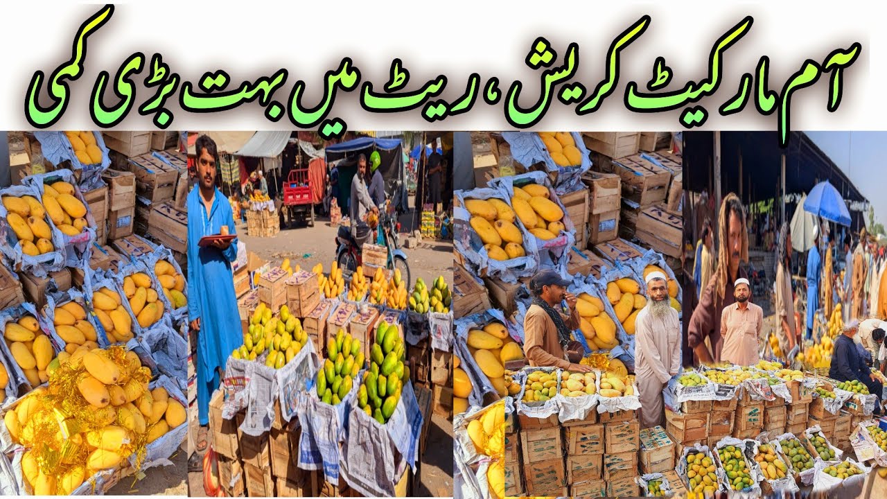 Pakistan Mango Prices 2026 | Sindh vs Punjab Mango Comparison | Export, Quality & Market Update |