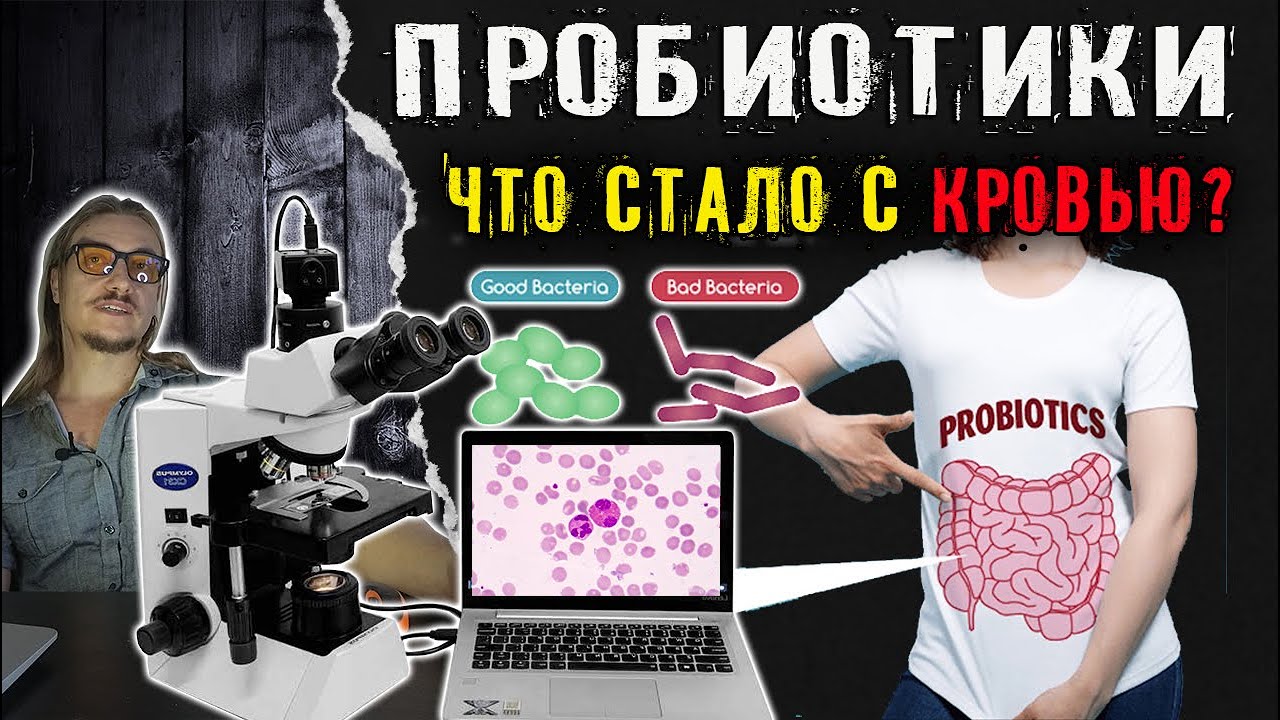 Пробиотики: что стало с кровью под микроскопом?