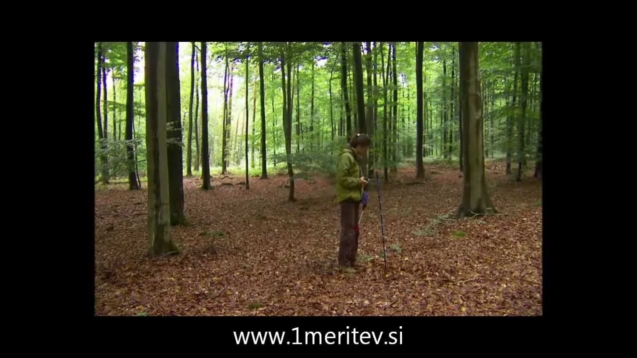 Haglof VERTEX Prostorsko merjenje gozdarsko