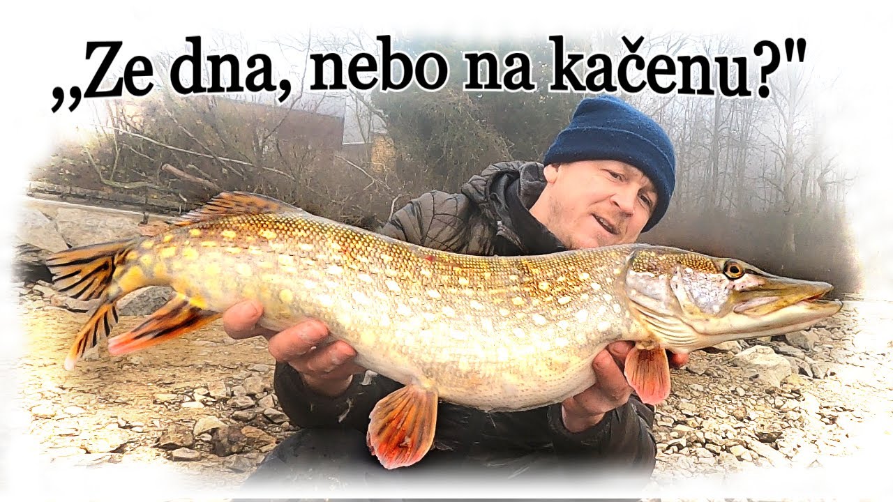 ,,Lov &Scaron;TIK 🐟(( DRAVCŮ ))🍀 na těžko, nebo na plavanou?🎣 