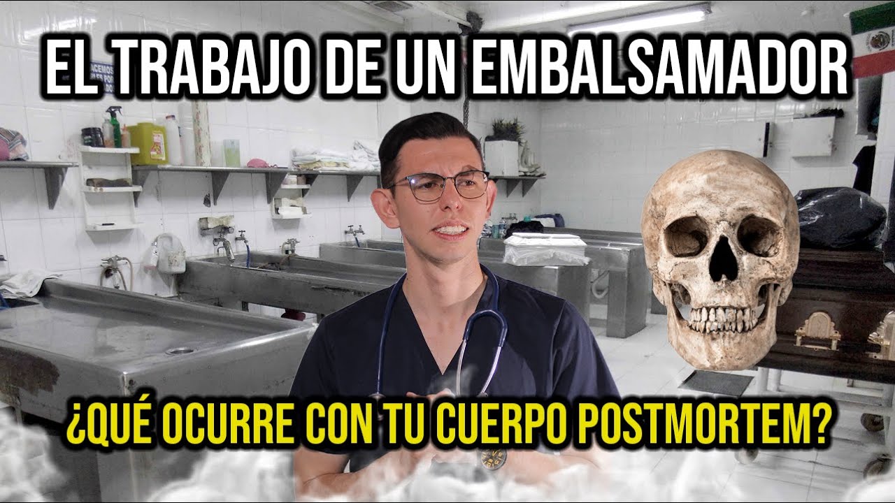 El trabajo de 