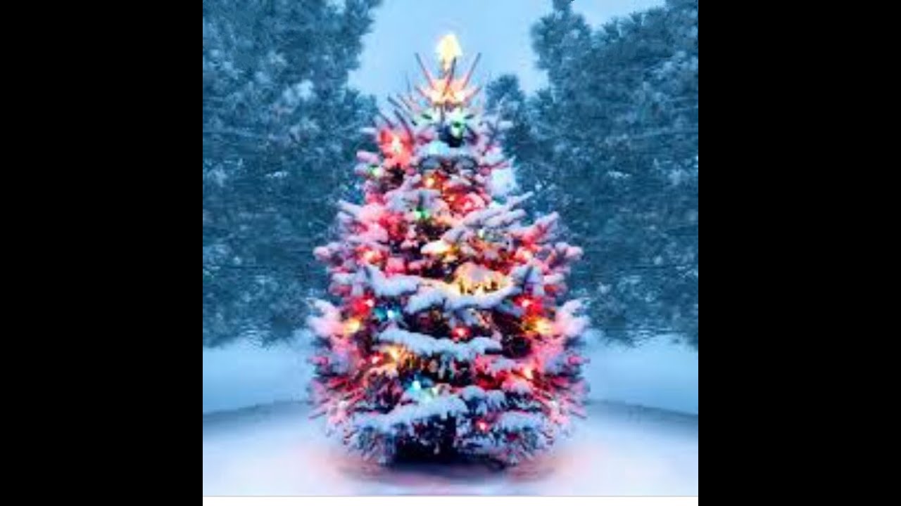 15 Christmas day greeting cards and Christmas tree makeing craft. Christmas day craft .