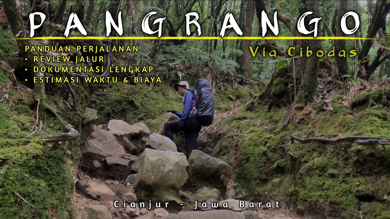 JALUR PALING RAMAH DAN INDAH❗PENDAKIAN GUNUNG GEDE-PANGRANGO VIA CIBODAS | PUNCAK GUNUNG PANGRANGO