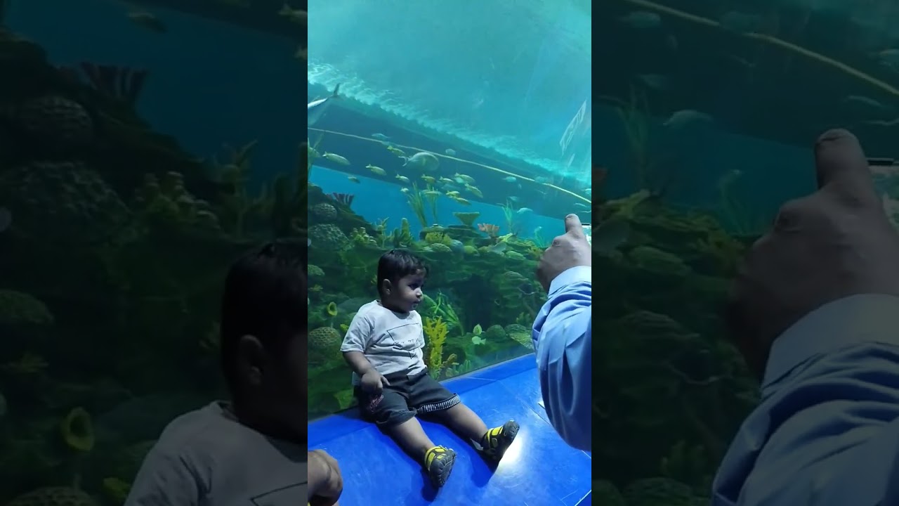 Many Types Fish 🐠🐠🐠🐟🐟🐟 In ⛵⛵⛵⛵...