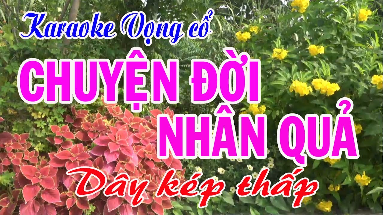 Karaoke Tân cổ: CHUYỆN ĐỜI NHÂN QUẢ - Dây Kép thấp - Tác giả: Nguyễn Hữu Nghĩa