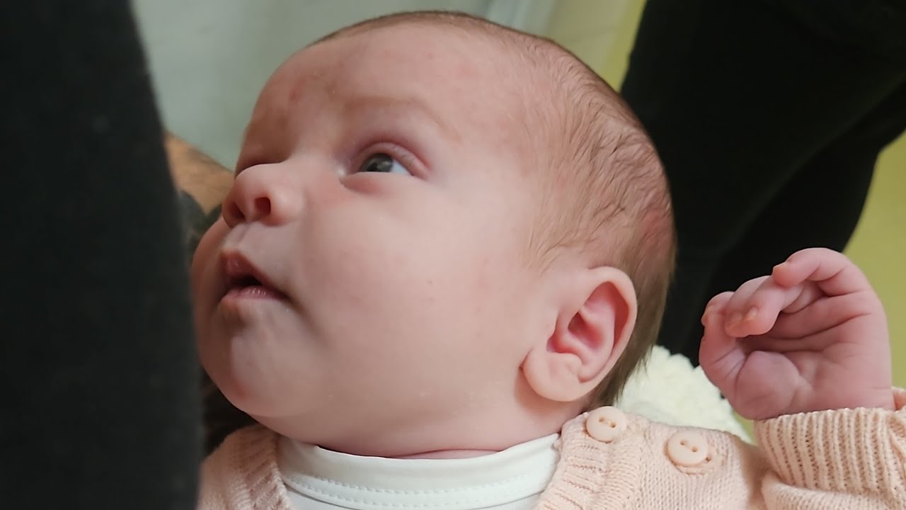 Martina chegando em casa e conhecendo o Bless 