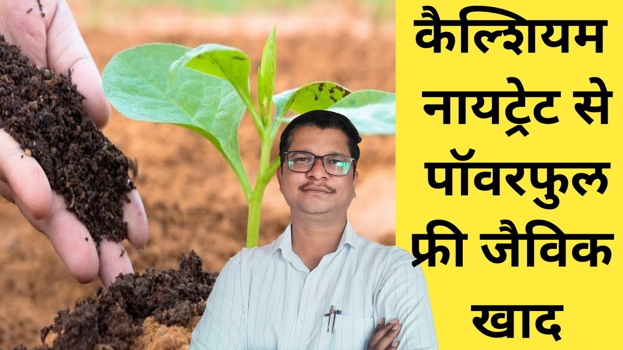 आ गया ! कैल्शीयम नायट्रेट से पॅावरफुल खाद । calcium nitrate | npk | organic fertilizer