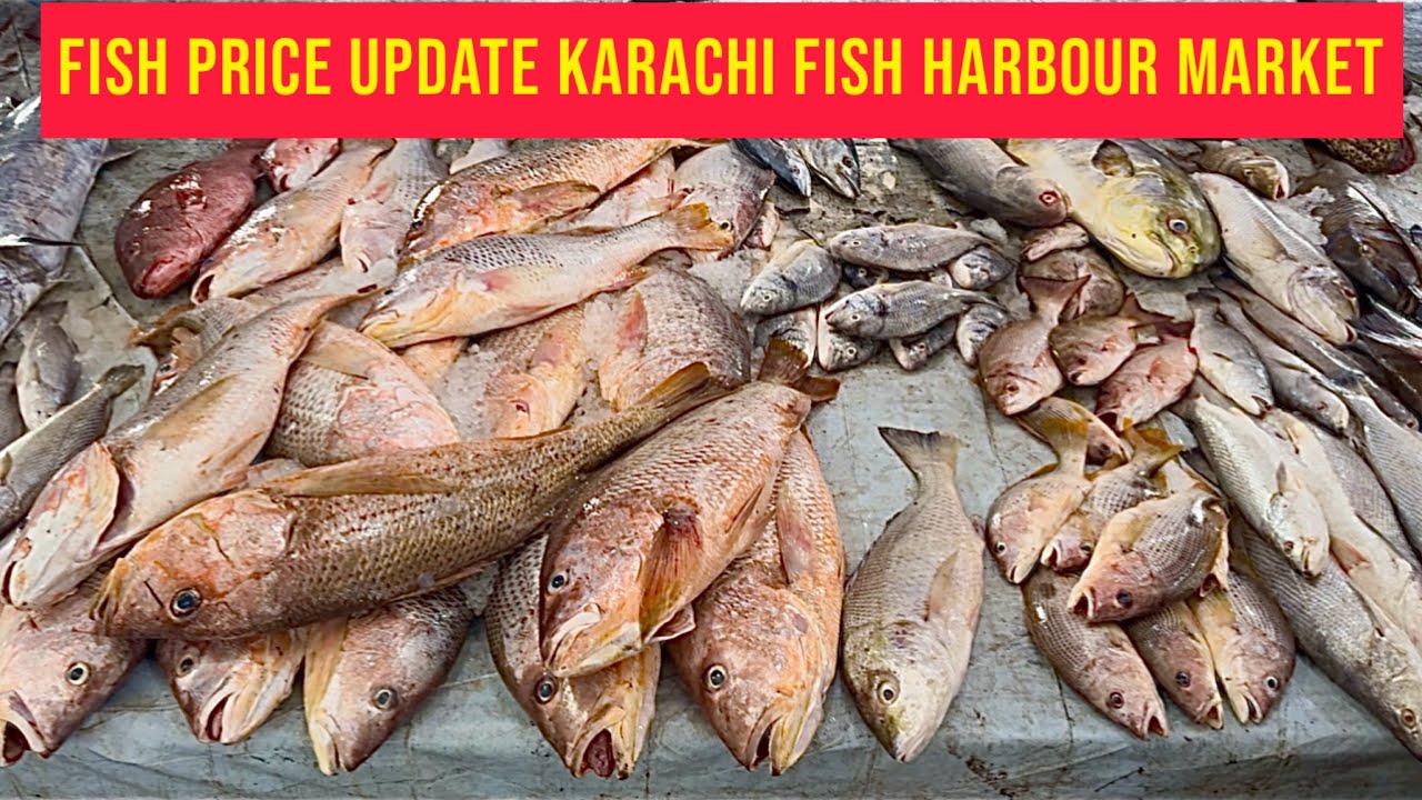 FISH PRICE UPDATE KARACHI FISH HARBOUR MARKET March 17, 2026