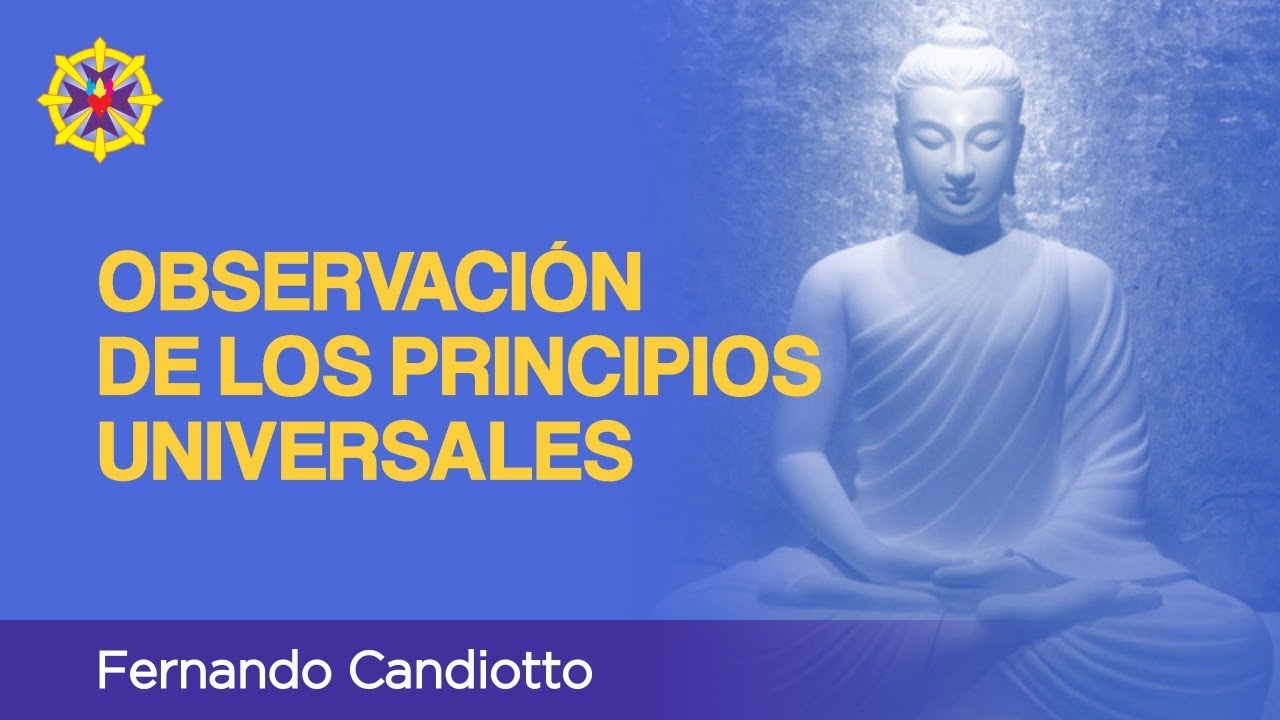 07-OBSERVACI&Oacute;N DE LOS SIETE PRINCIPIOS UNIVERSALES | Fernando Candiotto