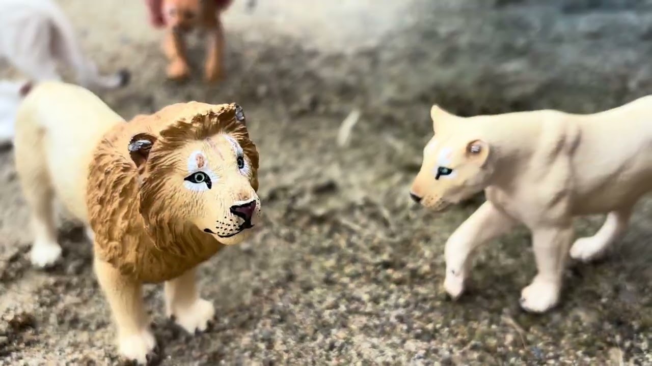 A Lion Pride | Schleich 