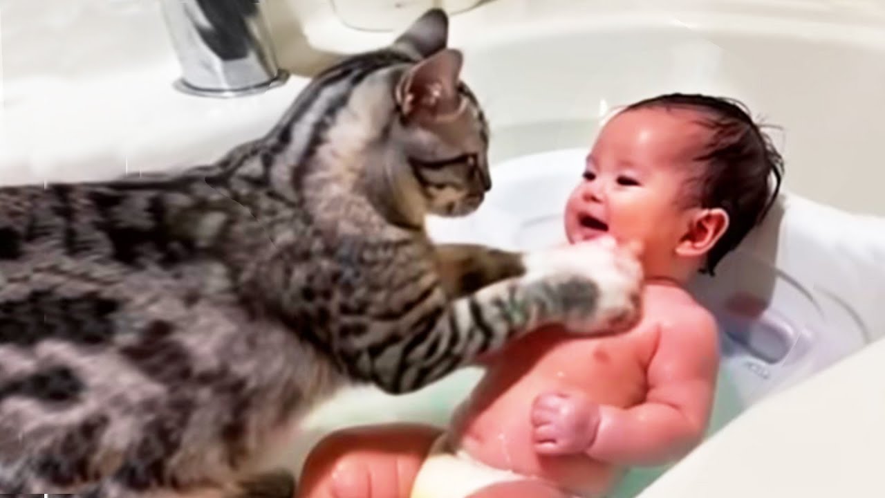 Funniest Baby and Animals Playing Together - Funny Baby Video