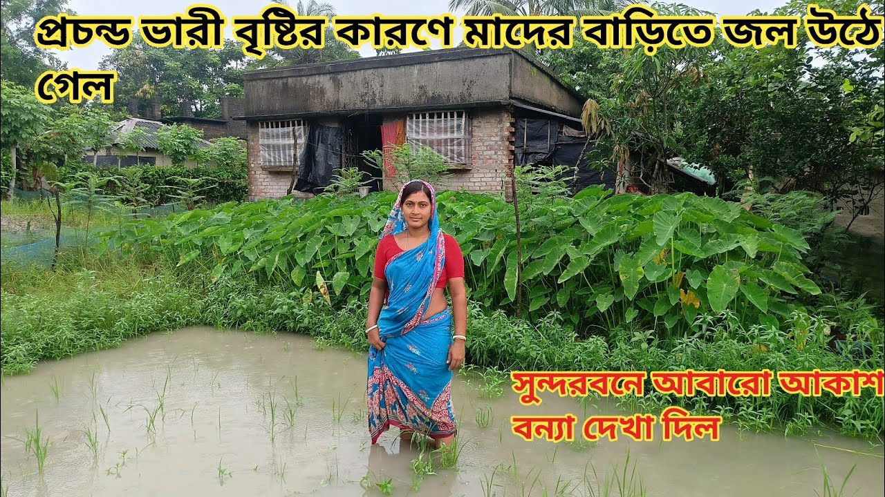 সুন্দরবনে আবারো আকাশ বন্যা দেখা দিল!Heavy rain day || Nandita Sundarban life 